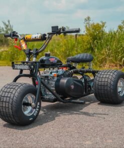 2024 "Black Betty" TGV Mini Trike
