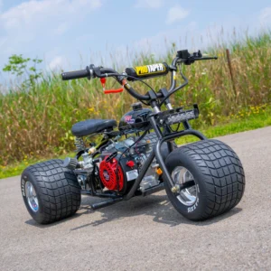 2024 “Black Cherry” Special Edition TGV Mini Trike