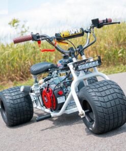 2024 "GT" Special Edition TGV Mini Trike