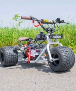 2024 “GT” Special Edition TGV Mini Trike - TGV Garage Shop