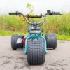 2024 “Island Time” Special Edition Mini Trike!