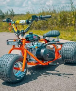 2024 (Platinum Edition) Mini Trike