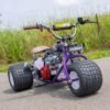 2024 "Purple Haze" Special Edition TGV Mini Trike