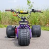 2024 Purple Haze Special Edition TGV Mini Trike