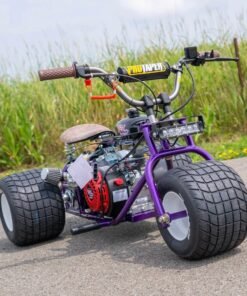 2024 "Purple Haze" Special Edition TGV Mini Trike