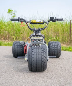 2024 Special Edition 3 wheel mini bike - Available Now - TGV Garage Shop