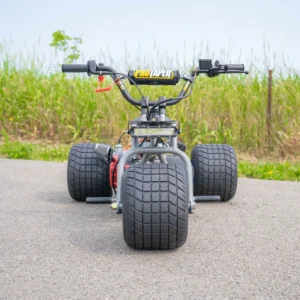 2024 Special Edition 3 wheel mini bike - Available Now - TGV Garage Shop