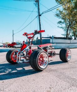2024 Special Edition Mini Quad