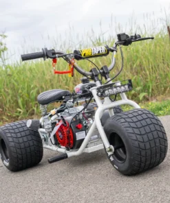 Buy 2024 “ENTICER” Special Edition TGV Trike Mini Bike Online - TGV Garage Shop