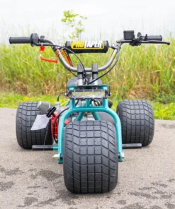 Buy 2024 “Island Time” Special Edition TGV Mini Trikes Online - TGV Garage Shop