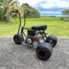 Buy Hustler Fatboy Trike Online - TGV Garage Shop