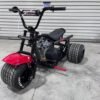 SFD MINI TRIKE! “RED & BLACK” SPECIAL EDITION