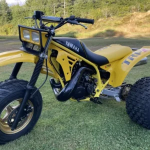 Yamaha Tri-Z 250 - 1985