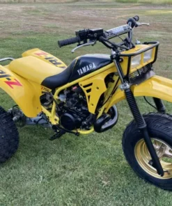 Alternative view of Yamaha Tri-Z 250 - 1985
