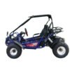 TrailMaster 200E XRX Go-Kart (EFI)