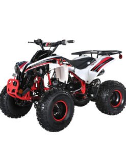 TrailMaster C125 125cc Sport ATV