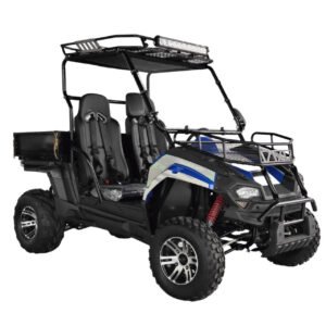 TrailMaster Challenger 200EUX UTV (EFI)